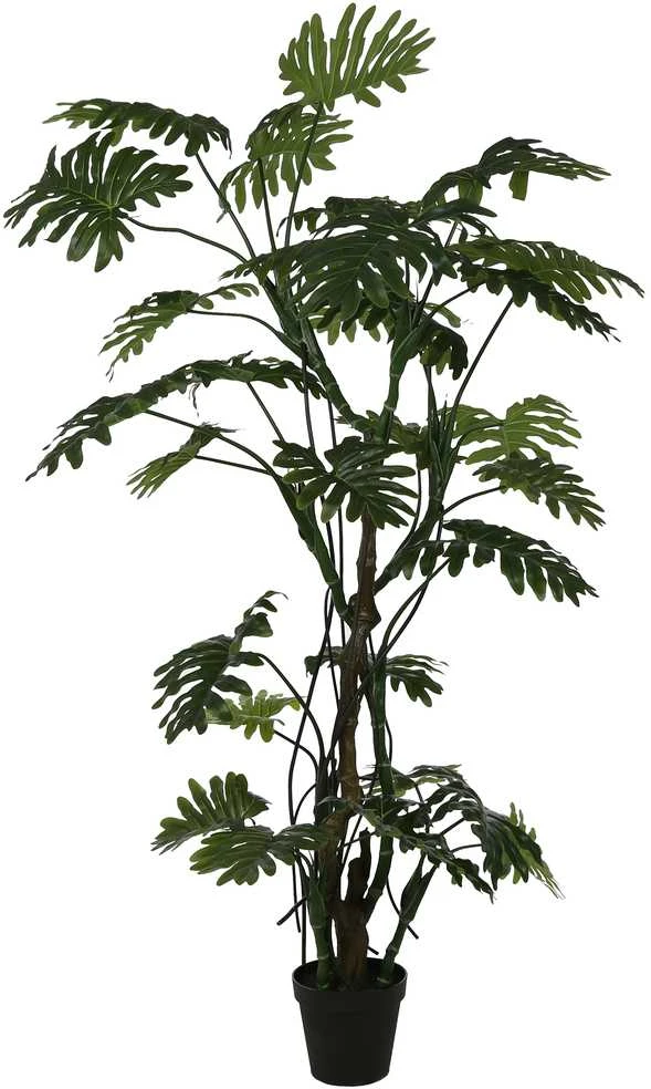 Dirbtinis augalas Filodendras, 210 cm