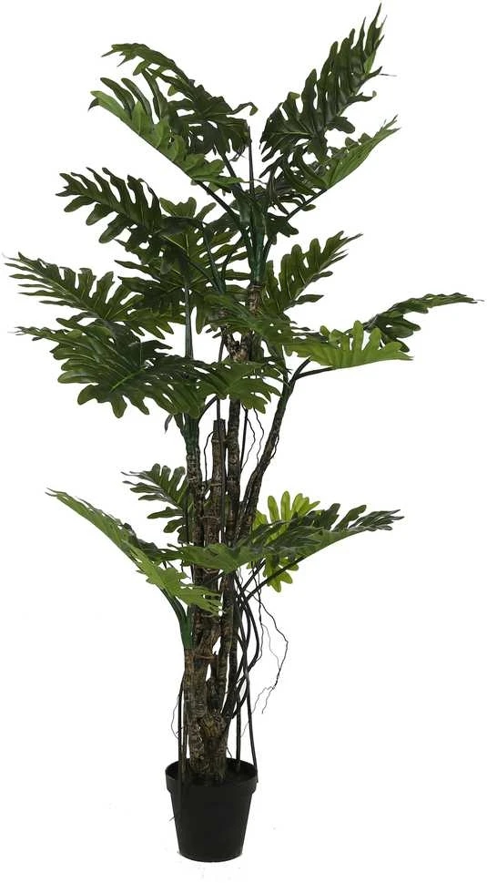 Dirbtinis augalas Filodendras Brasil, 210 cm