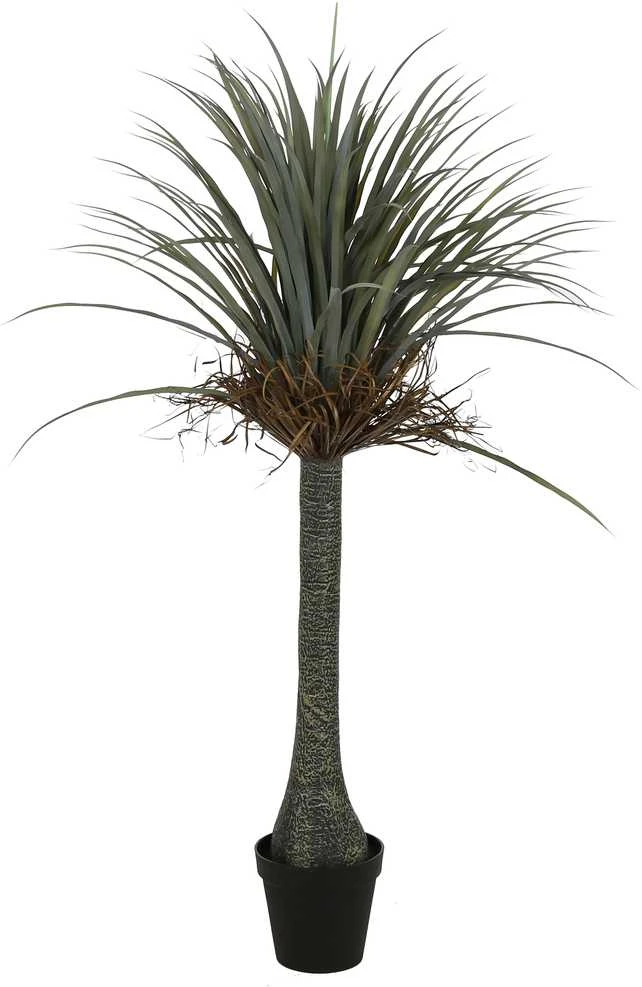Dirbtinis augalas Juka, 160 cm