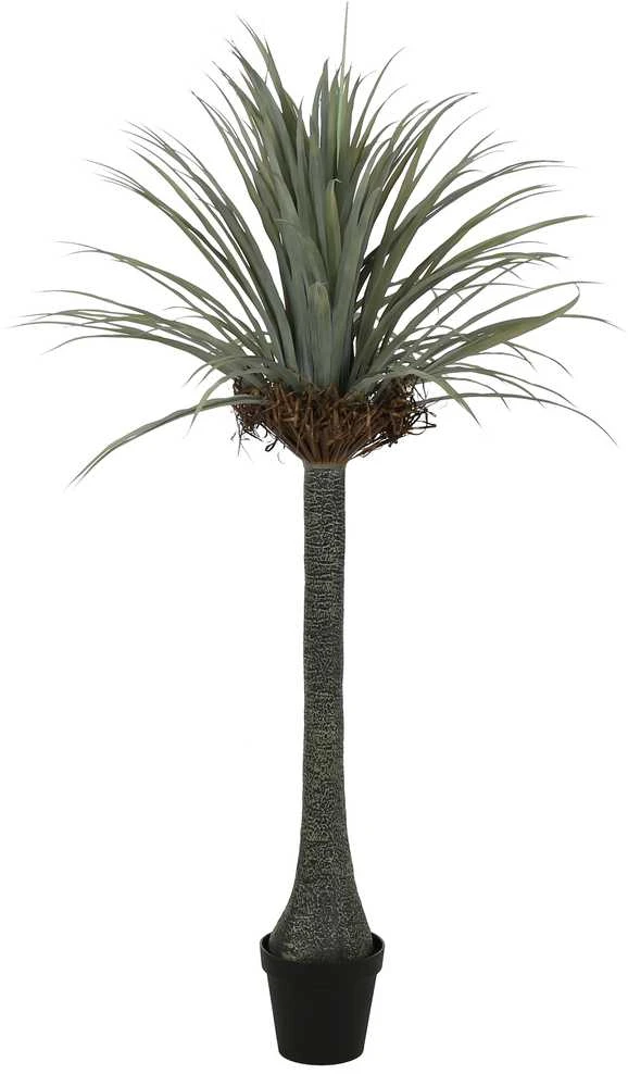 Dirbtinis augalas Juka, 180 cm
