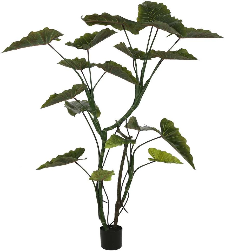 Dirbtinis augalas Kolokazija, 160 cm