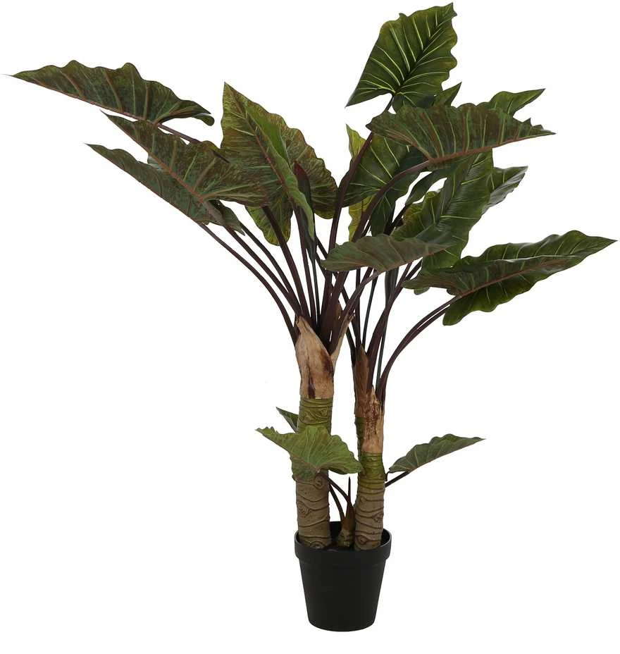 Dirbtinis augalas Kolokazija, 170 cm