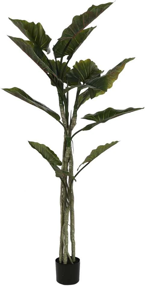 Dirbtinis augalas Kolokazija, 190 cm
