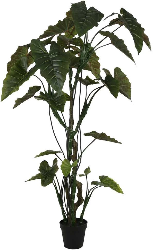 Dirbtinis augalas Kolokazija, 220 cm