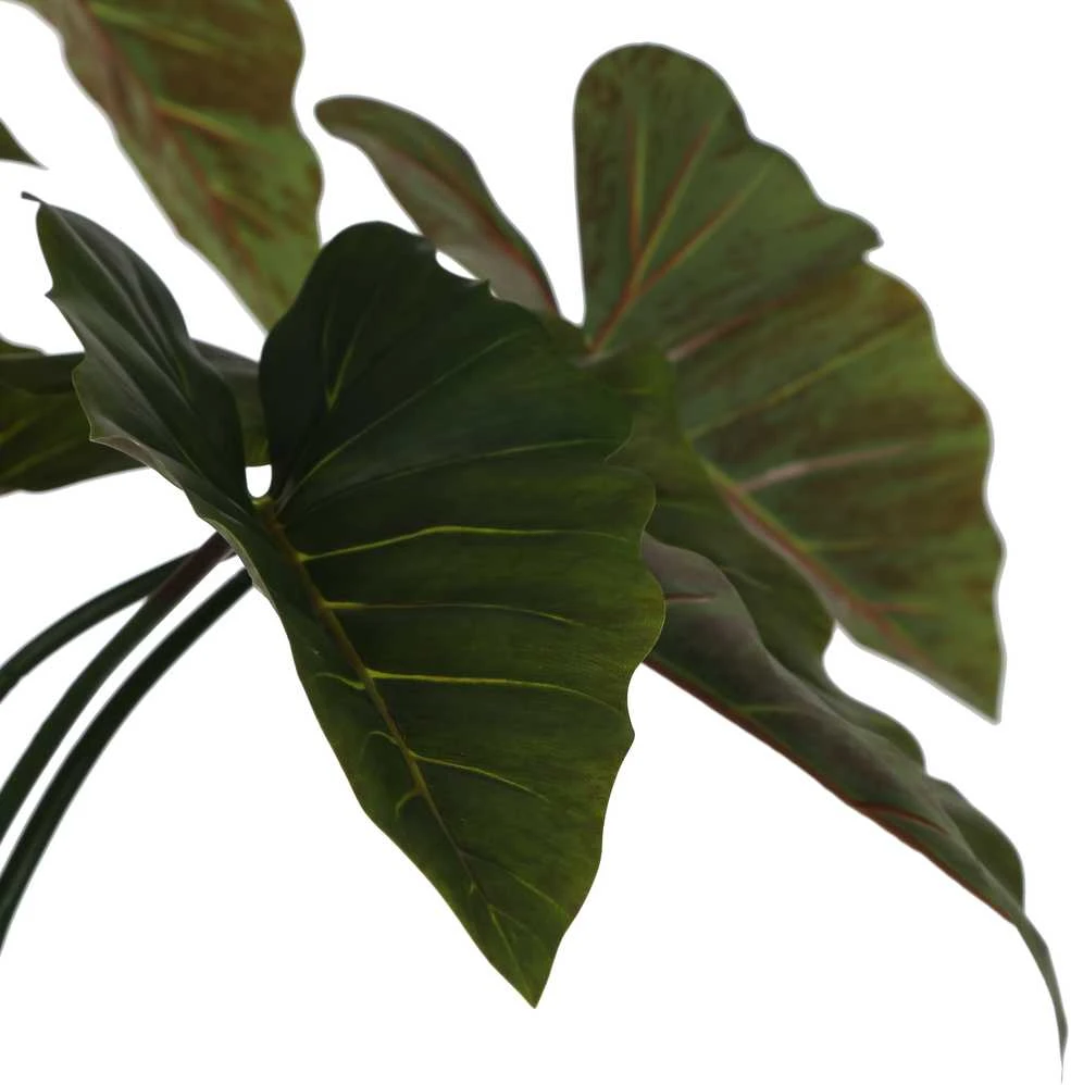Dirbtinis augalas Kolokazija, 220 cm