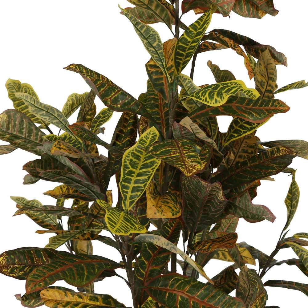 Dirbtinis augalas Krotonas, 190 cm