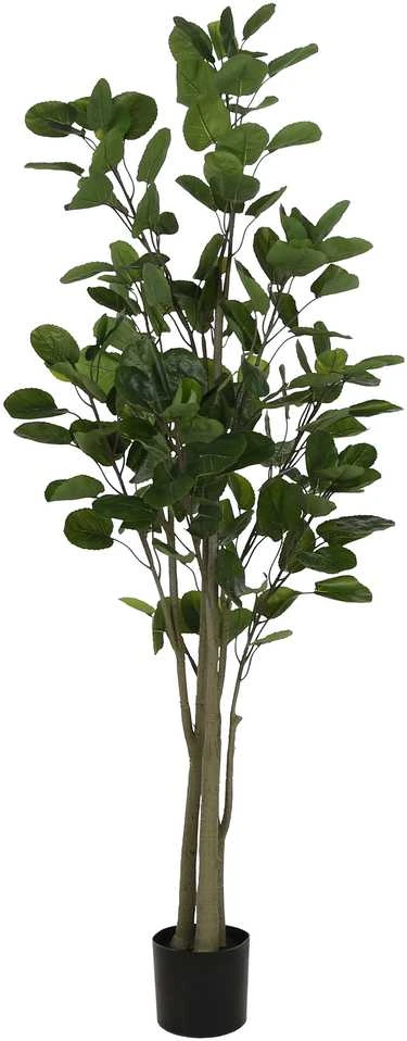 Dirbtinis augalas Laimės medis, 200 cm
