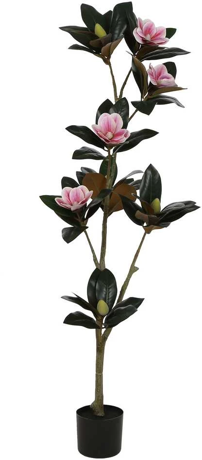 Dirbtinis augalas Magnolija, 135 cm