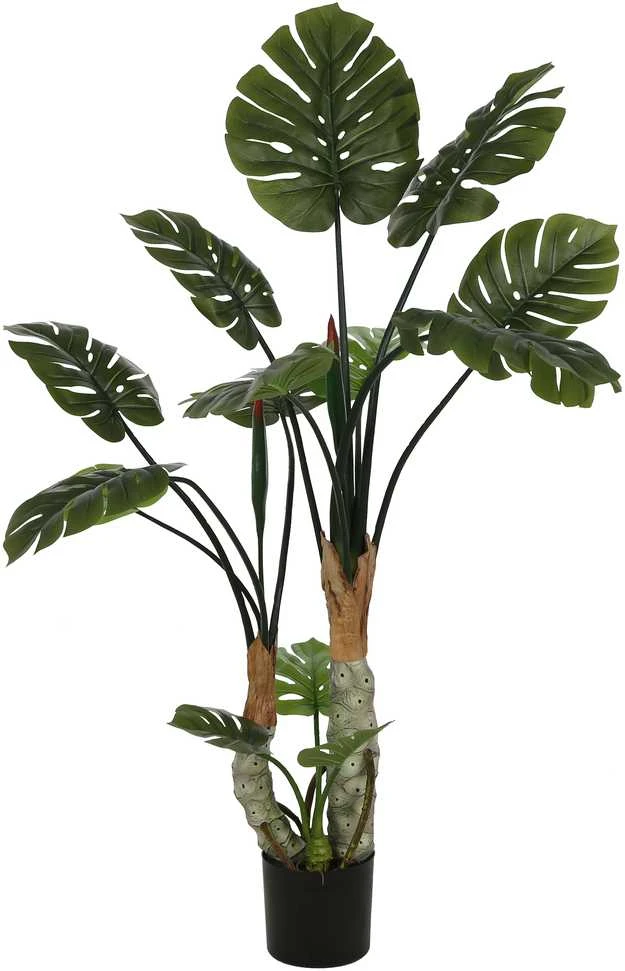 Dirbtinis augalas Monstera, 160 cm