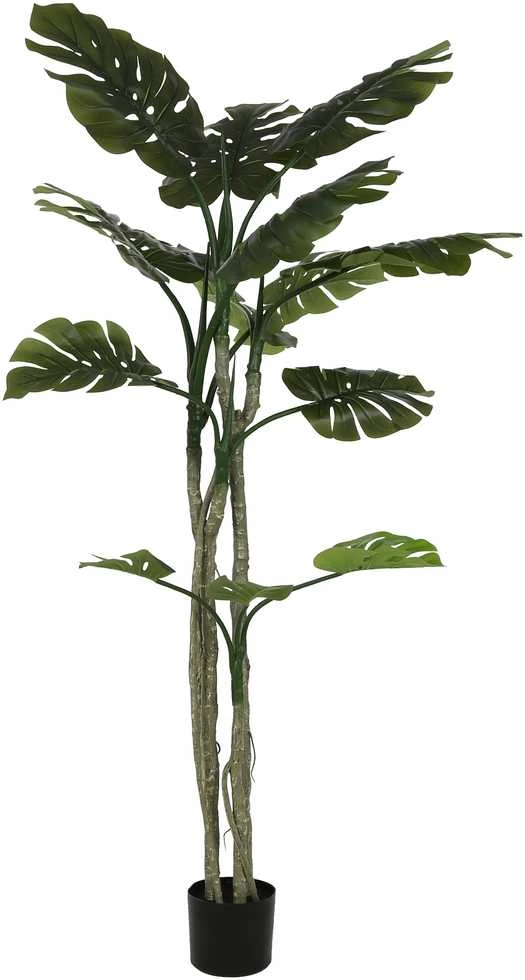 Dirbtinis augalas Monstera, 180 cm