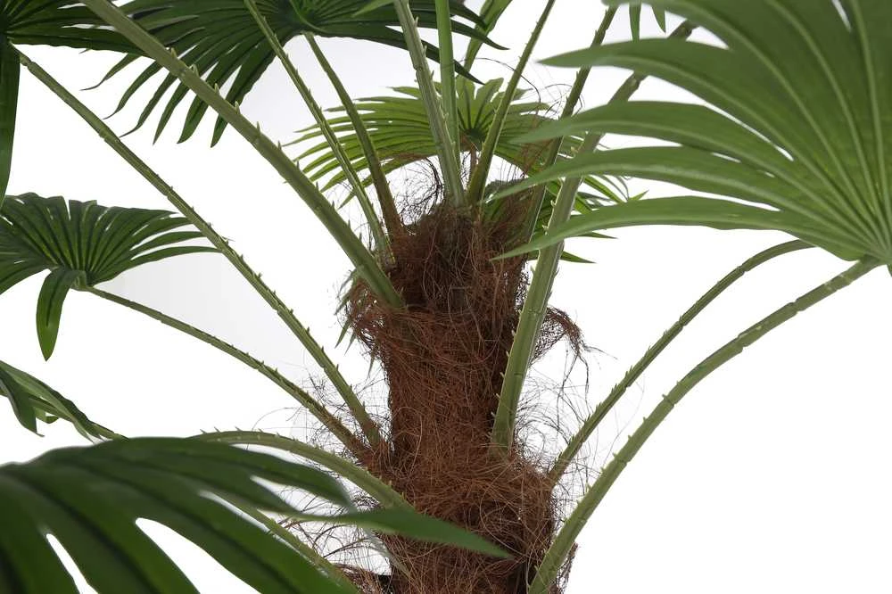 Dirbtinis augalas Palmė, 200 cm