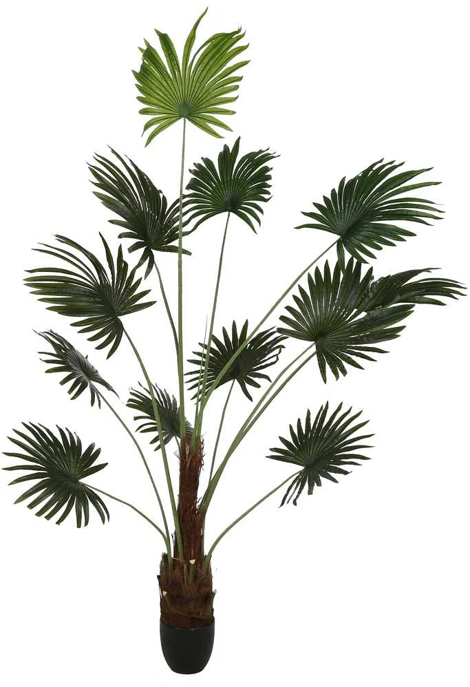 Dirbtinis augalas Palmė, 200 cm