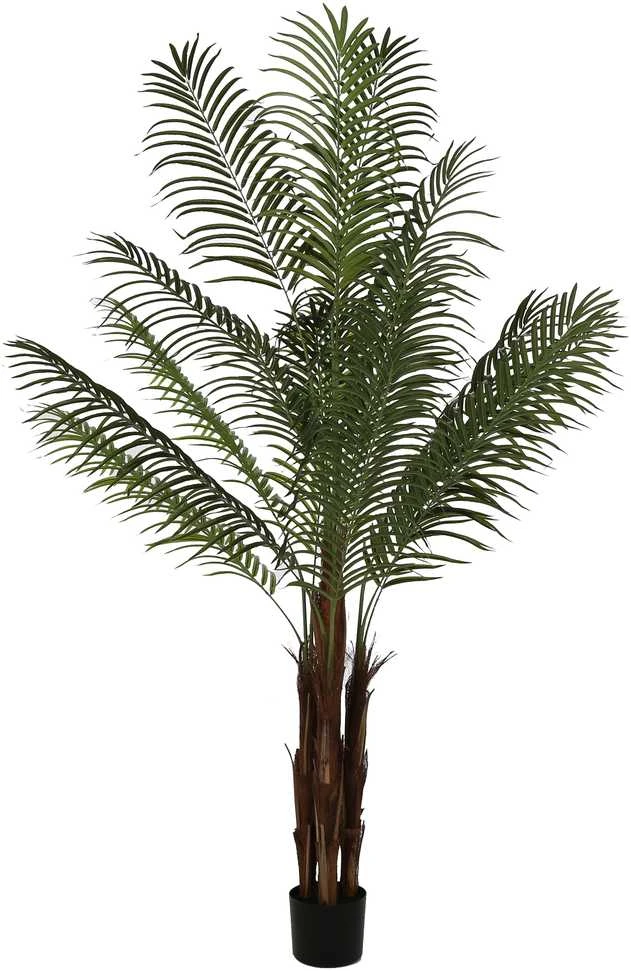 Dirbtinis augalas Palmė Hovėja, 200 cm