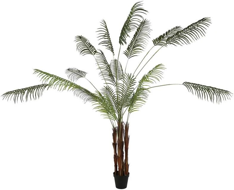 Dirbtinis augalas Palmė Hovėja, 260 cm