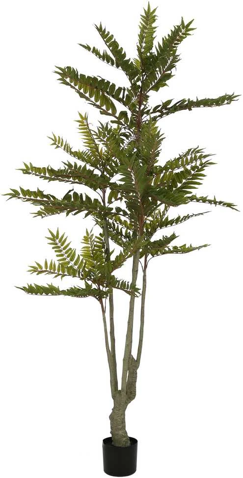 Dirbtinis augalas Raudonasis kedras, 200 cm