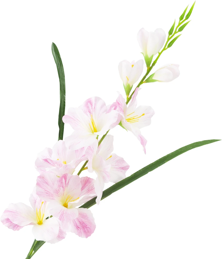 Dirbtinis dekoratyvinis kardelis, rožinis/baltas, 80 cm