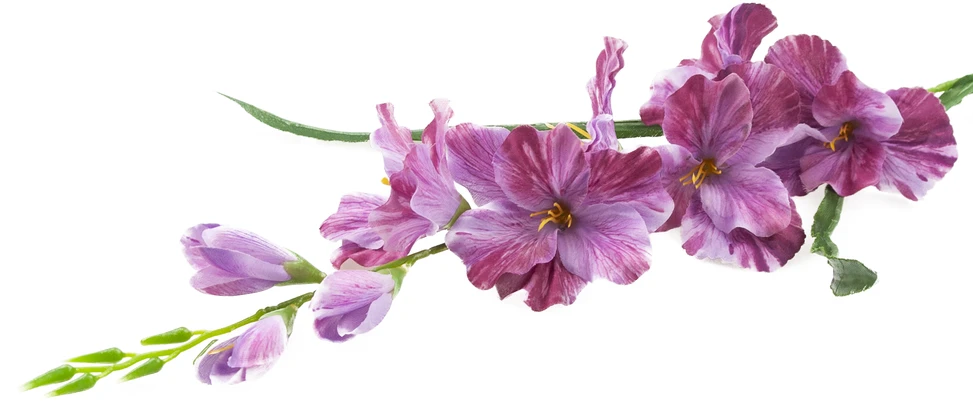 Dirbtinis dekoratyvinis kardelis, violetinis, 80 cm