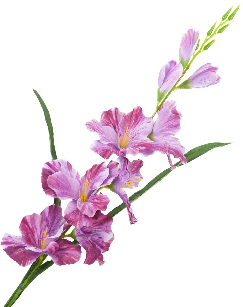 Dirbtinis dekoratyvinis kardelis, violetinis, 80 cm