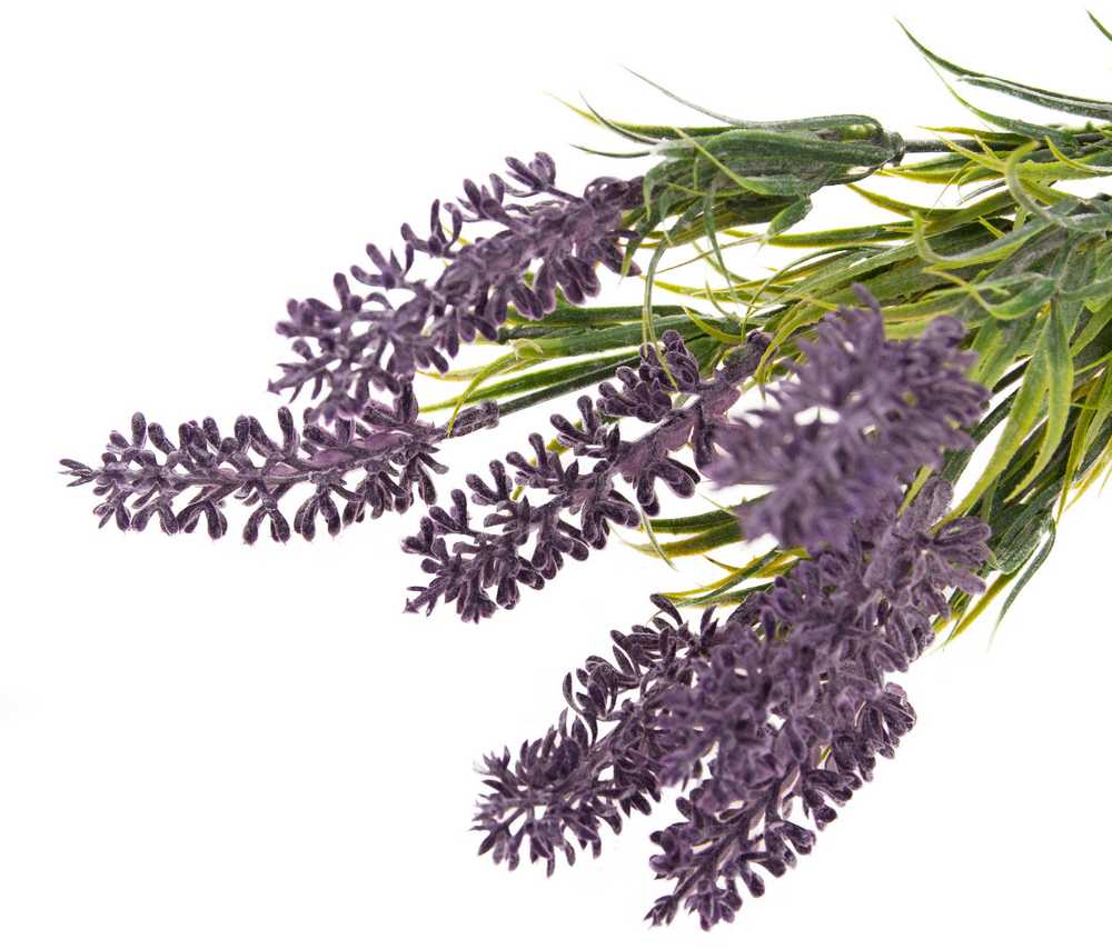 Dirbtinių levandų puokštė, 7 vnt., violetinė