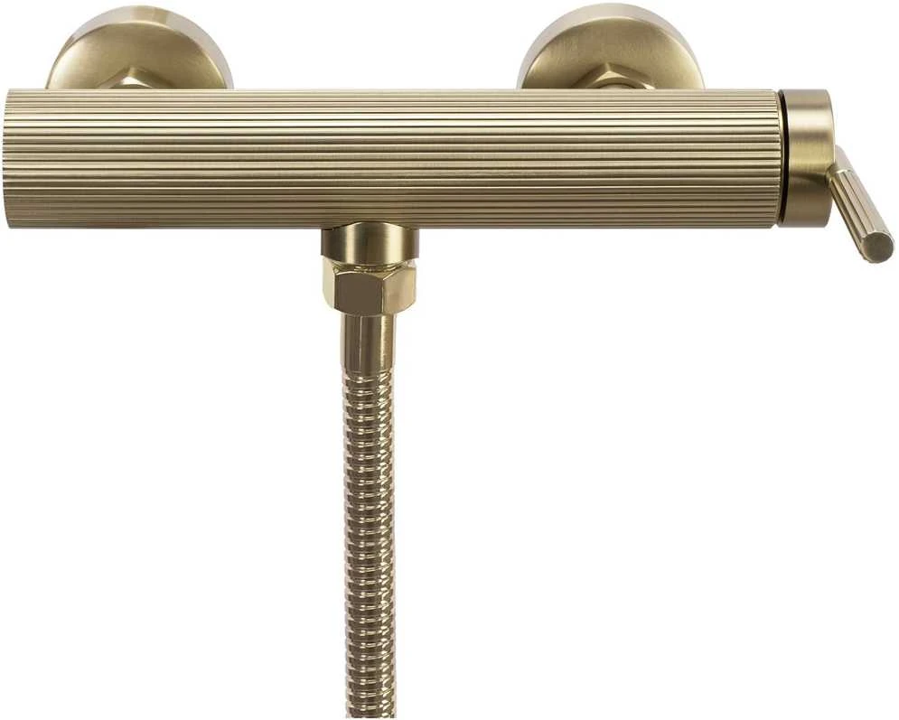 Dušo komplektas su maišytuvu REA Argon, Brushed Gold