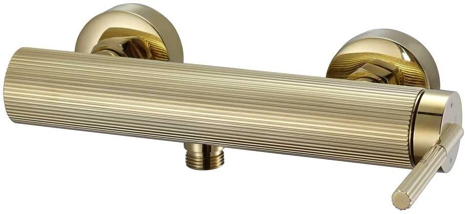 Dušo komplektas su maišytuvu REA Argon, Gold