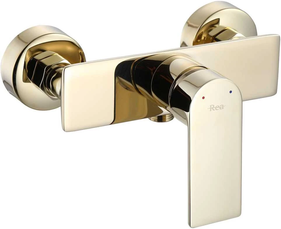 Dušo komplektas su maišytuvu REA Urban, Gold
