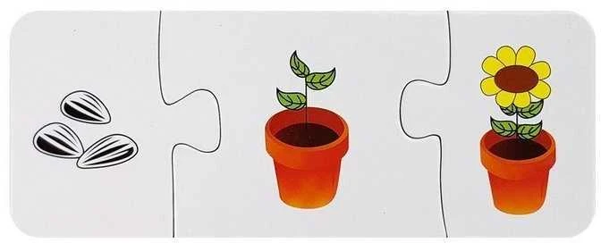Edukacinė dėlionė, 10 pav.