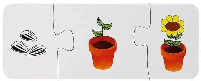 Edukacinė dėlionė, 10 pav.