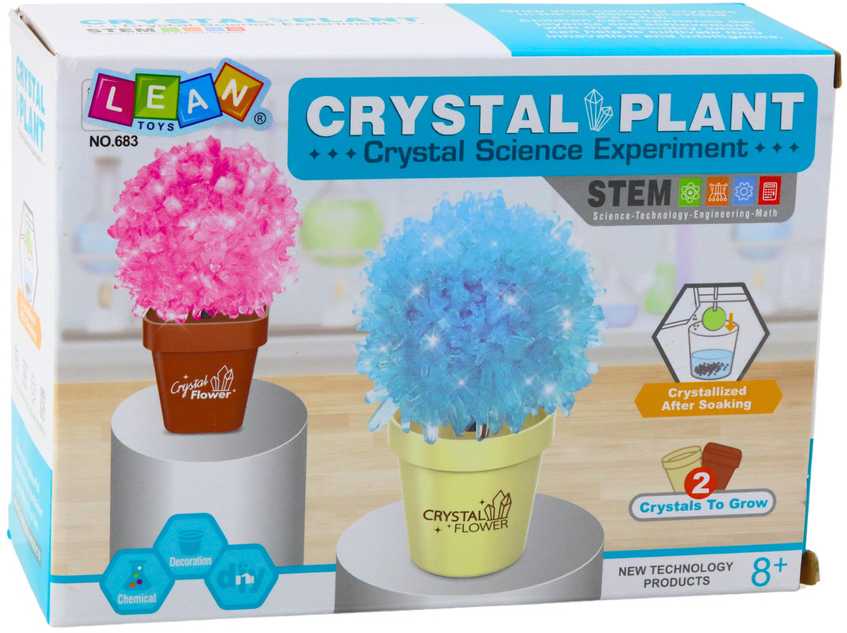 Edukacinis kristalų auginimo rinkinys "Crystal Plant"