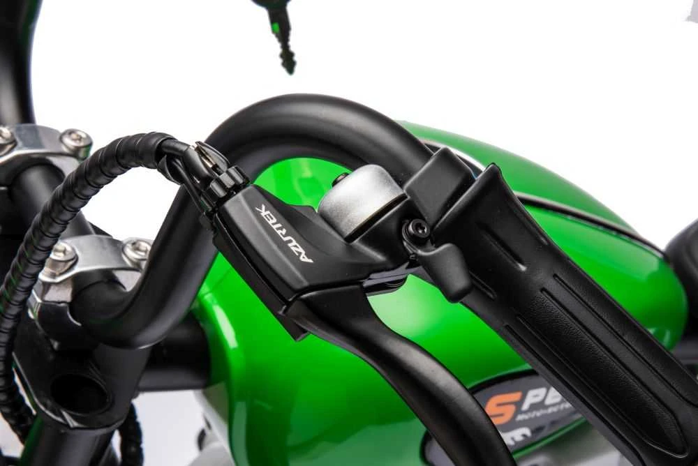 Elektrinis motociklas A9902 36V, žalias