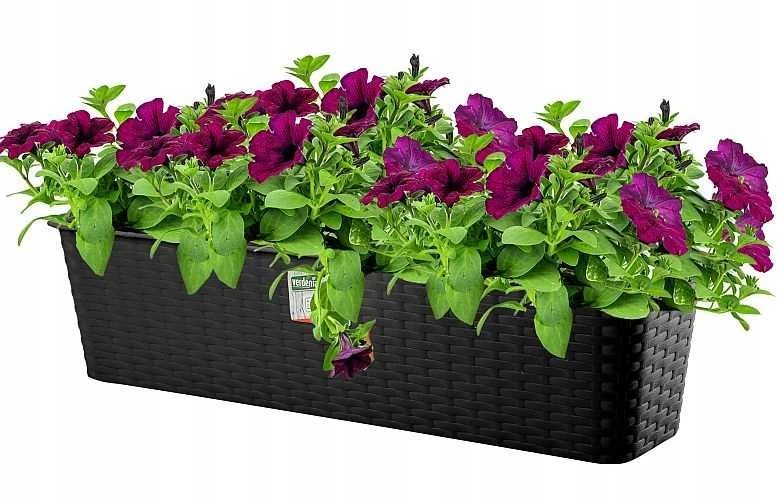 Gėlių vazonas Ratolla Case, 59 cm, antracito