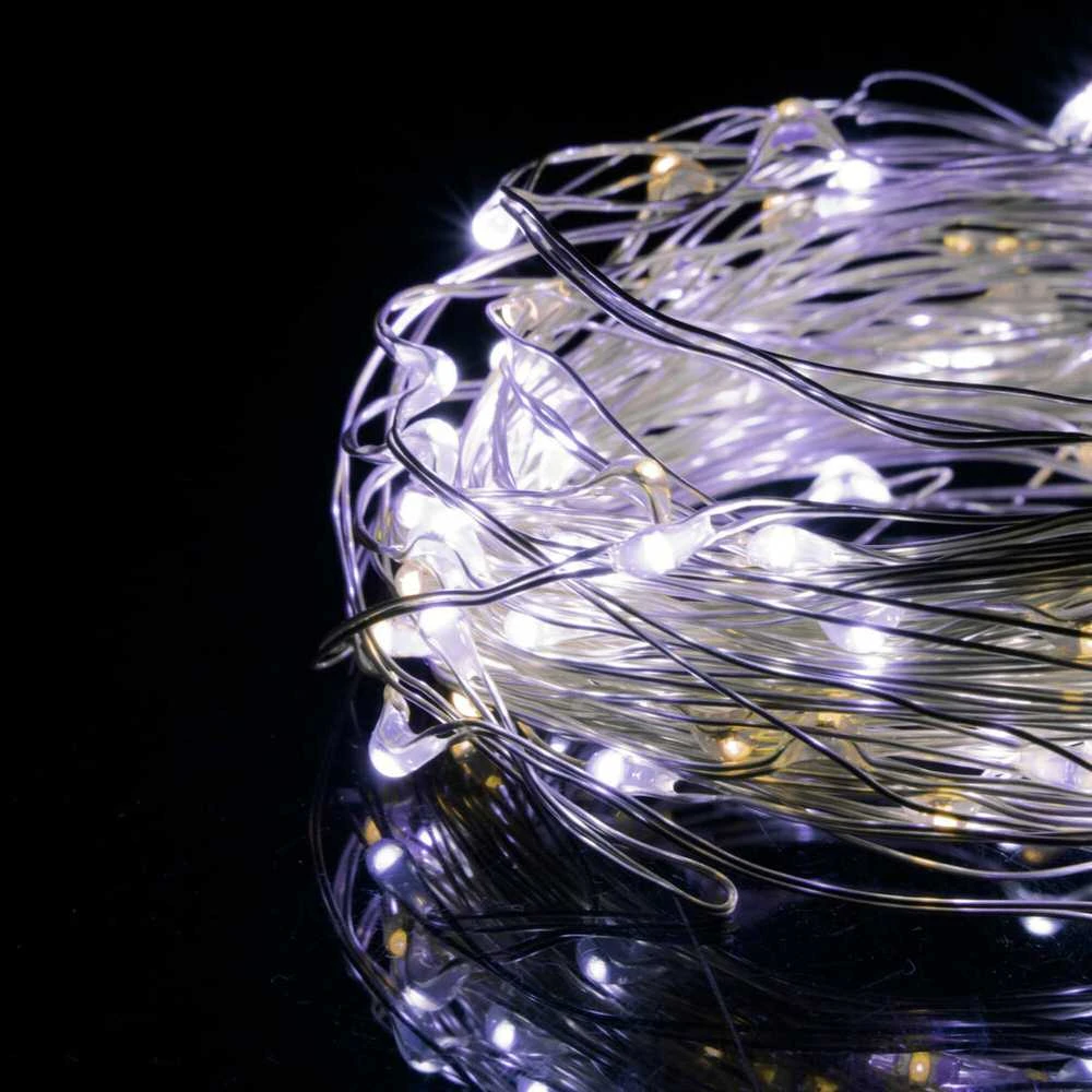 Girlianda 20 LED MicroLED "Smart", šiltai/šaltai balta