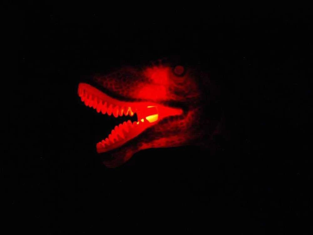 Interaktyvus dinozauras T-Rex su nuotolinio valdymo pultu