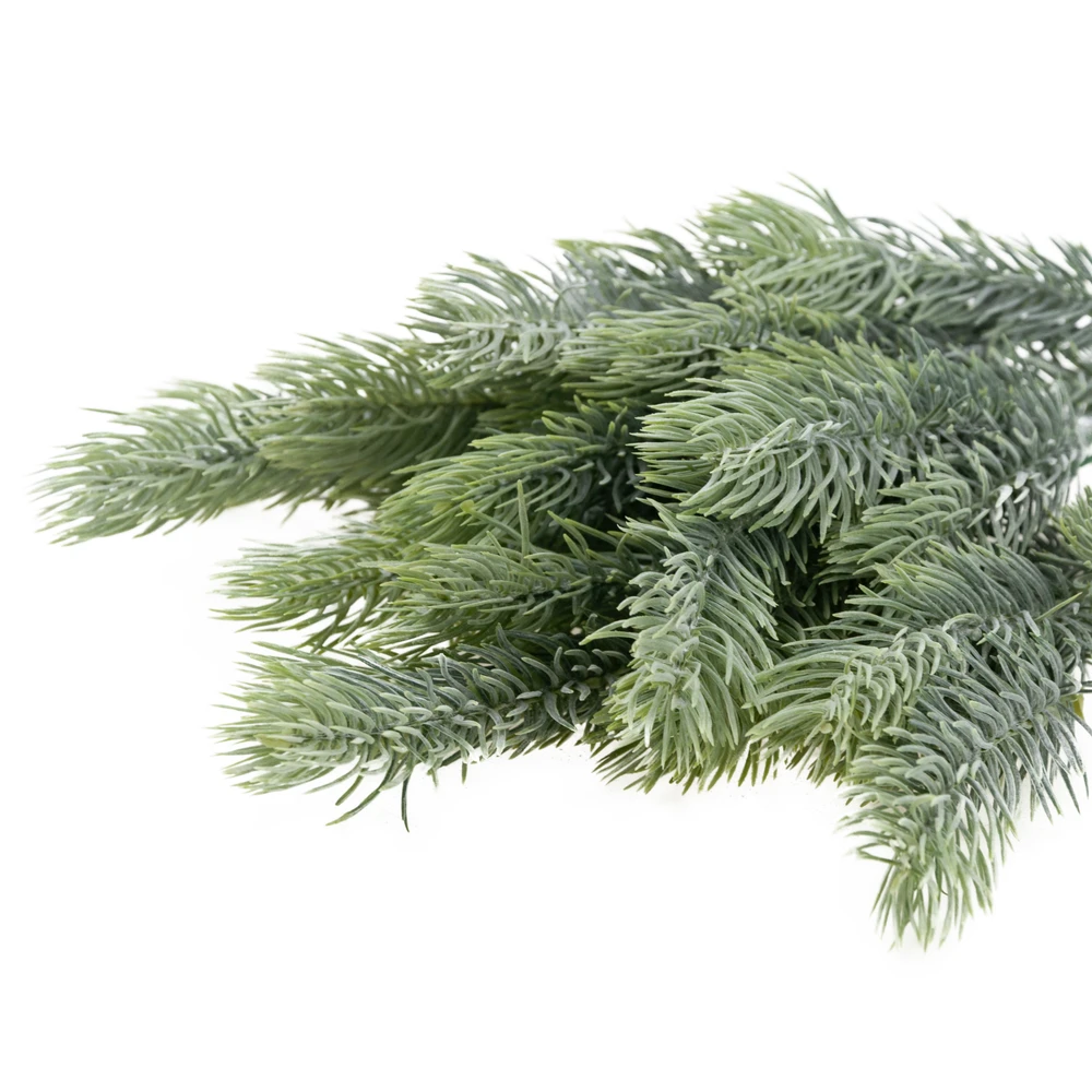 Kalėdinė eglės šaka