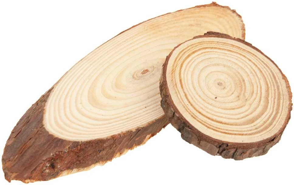 Kūrybinis medienos dekoravimo rinkinys