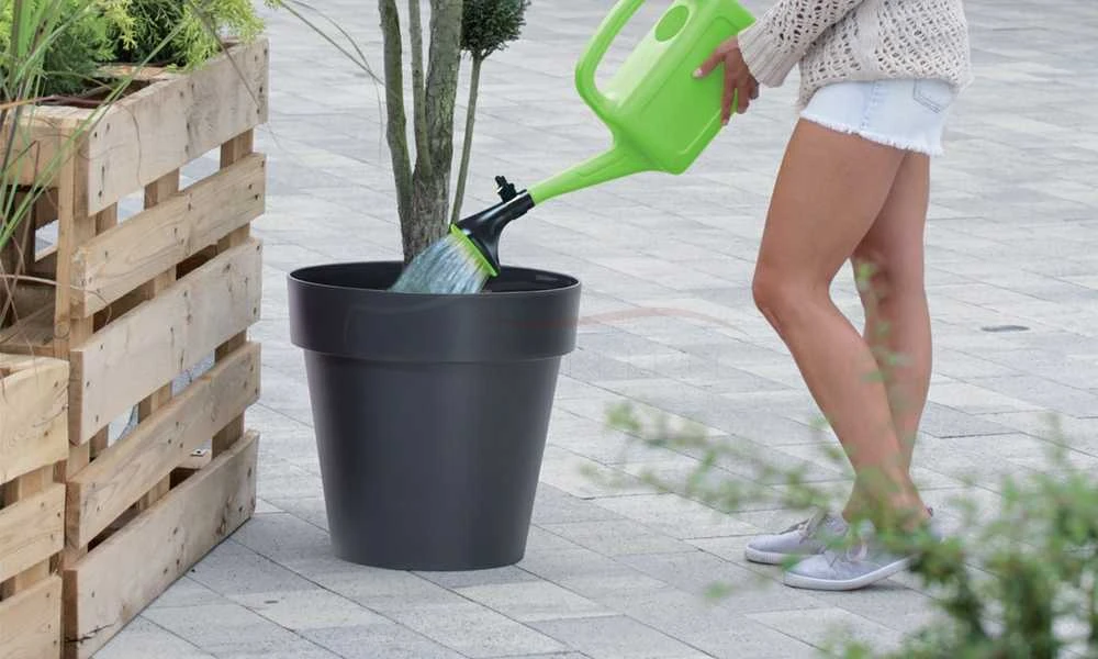 Laistytvas Prosperplast Aqua, 5 L