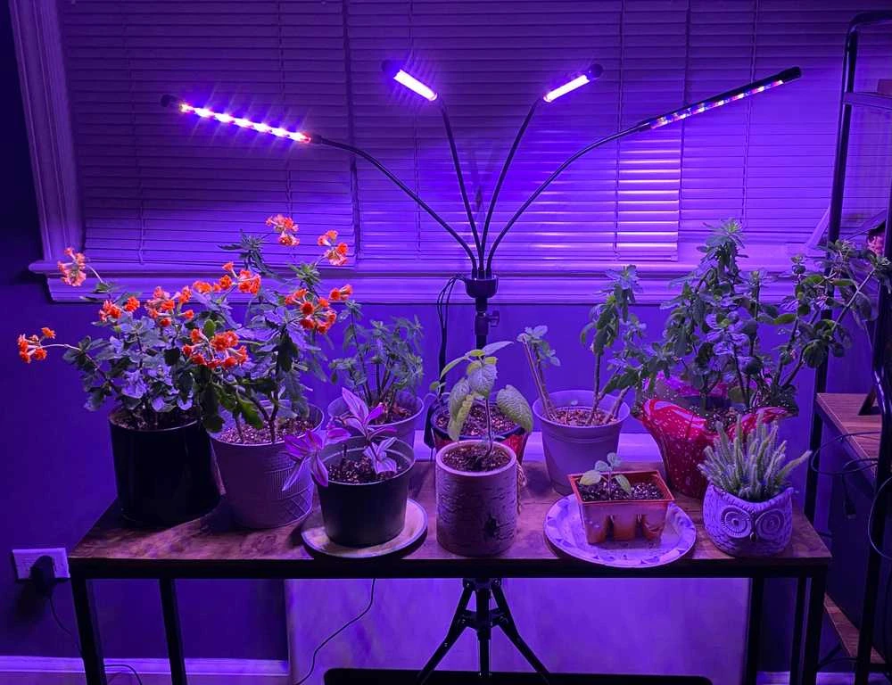 LED lempa augalų augimui su stovu
