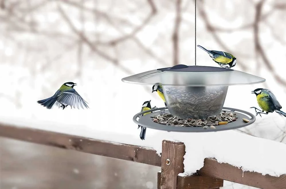 Lesyklėlė Birdyfeed Round