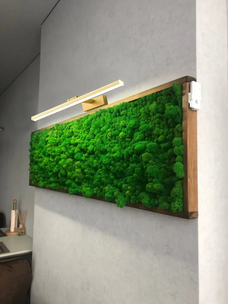 Lubinis šviestuvas Sieninis LED šviestuvas Venus Gold, 80 cm