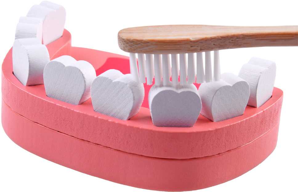 Medinis odontologo rinkinys