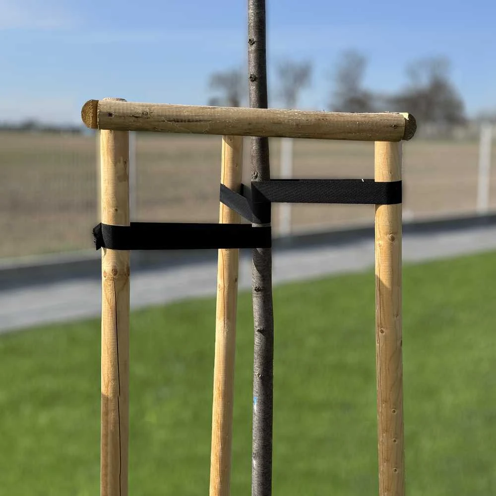 Medžių tvirtinimo juosta Bradas TREE SUPPORT, 25 mm x 25 m