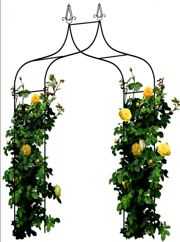 Metalinė arka vijokliniams augalams Garden Line, 150x37x240 cm