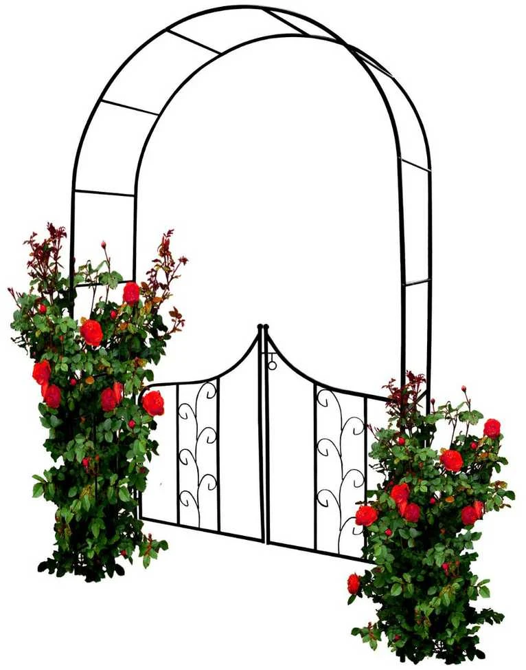 Metalinė vijoklinių augalų atrama - arka su varteliais, 240 cm