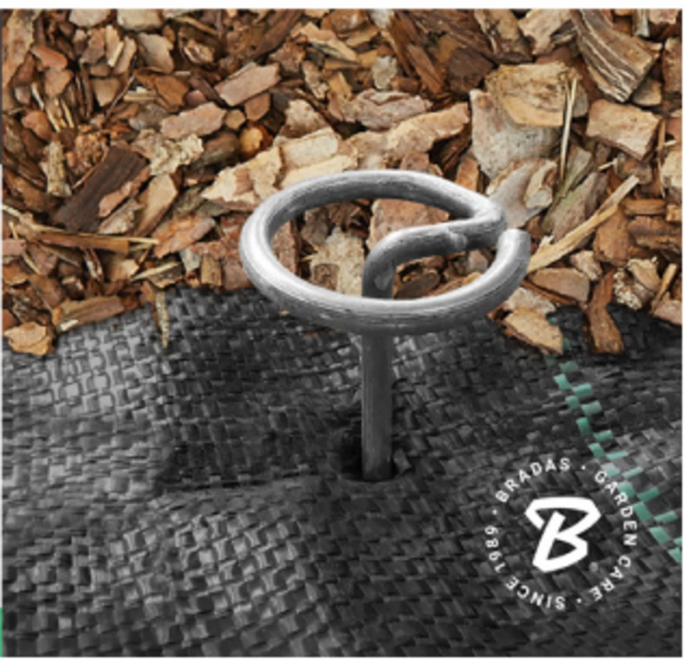 Metalinės smeigės Bradas "G" formos, 3/15 cm, 20 vnt.