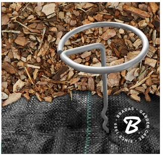 Metalinės smeigės Bradas "G" formos, 6/20 cm, 10 vnt.
