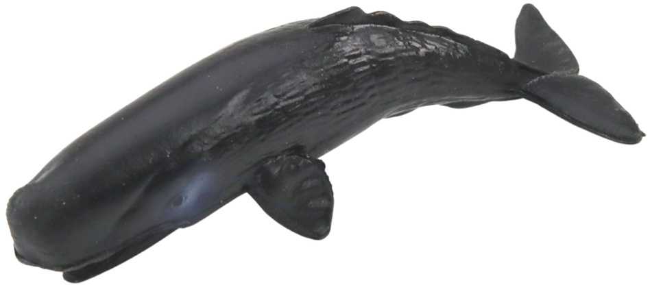 Mini figūrėlių rinkinys Jūriniai žinduoliai, 6-8 cm, 6 vnt.