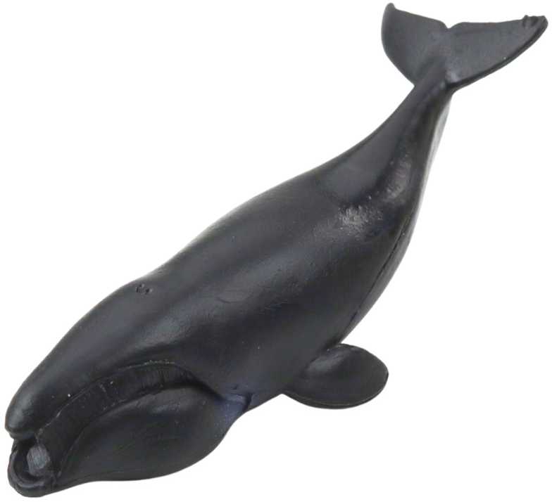 Mini figūrėlių rinkinys Jūriniai žinduoliai, 6-8 cm, 6 vnt.