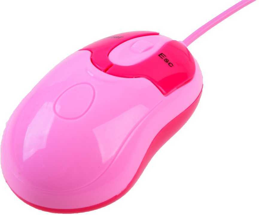 Mokomasis nešiojamasis kompiuteris lenkų-anglų kalbomis su 65 funkcijomis, rožinis