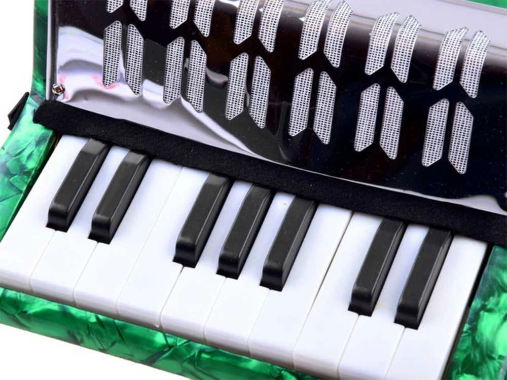 Muzikinis akordeonas vaikams, žalias