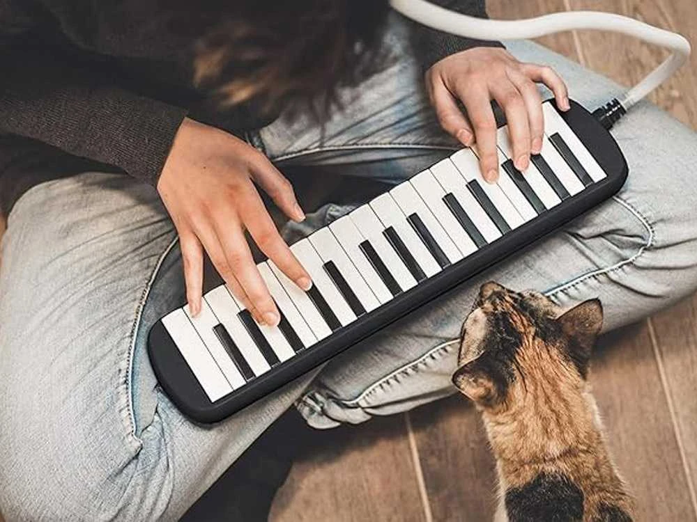 Muzikos instrumentas "Melodika"